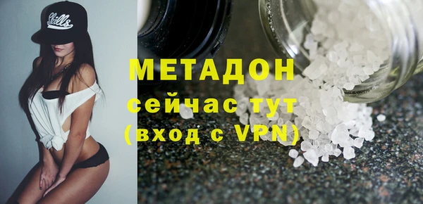 прущие грибы Балахна