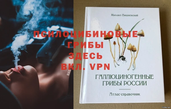 прущие грибы Балахна