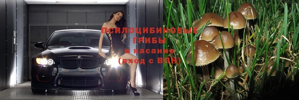 стаф Баксан