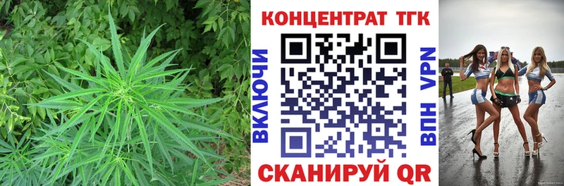 закладки  Кудрово  Дистиллят ТГК жижа 